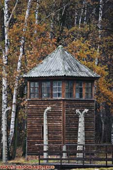 IMG_ (11650)